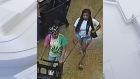 Brookfield Metro Market retail theft: 2 suspects sought