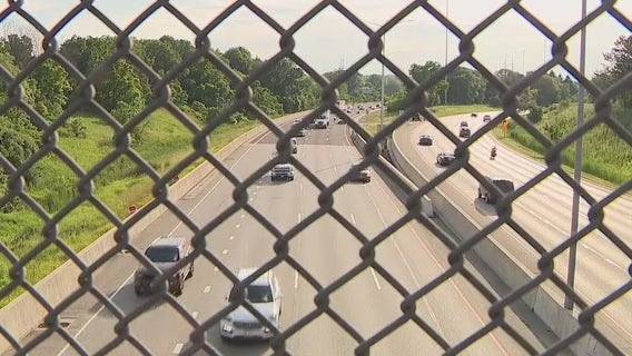 Bear killed in Hale Interchange, tow driver recalls scene