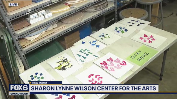 Sharon Lynne Wilson Center’s Summer Arts Camp