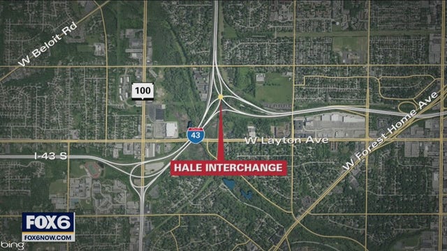 Bear hit in Hale Interchange, dies