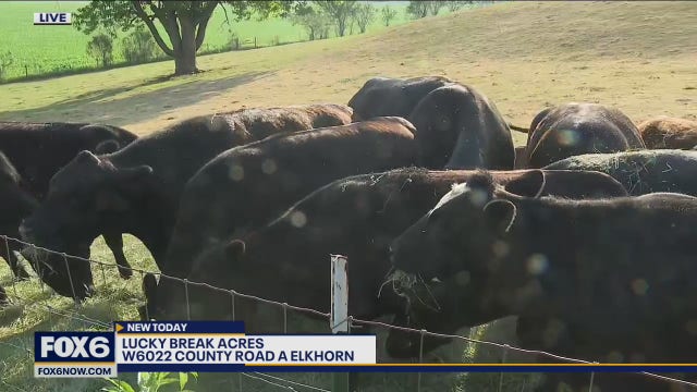 Lucky Break Acres: Get a taste of life on the farm