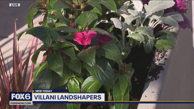 Villani Landshapers: Menomonee Falls landscape company