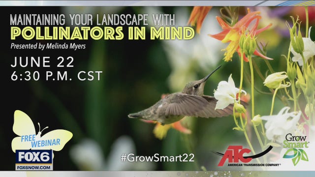 Maintain your landscape with pollinators in mind