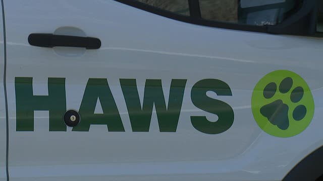 HAWS annual Youth Awards; nominees sought