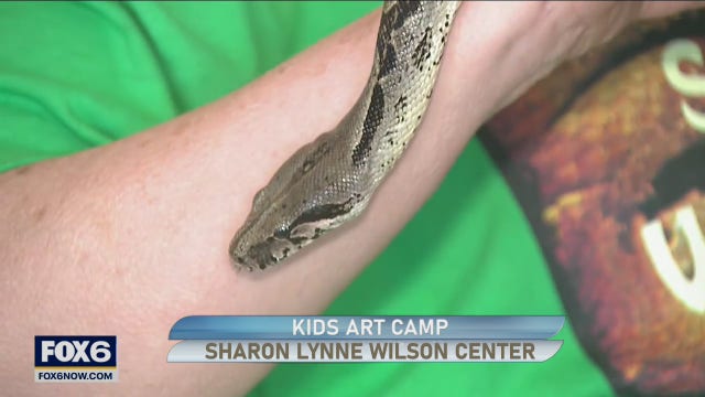 Sharon Lynne Wilson Center: 20 years of art classes, exhibitions