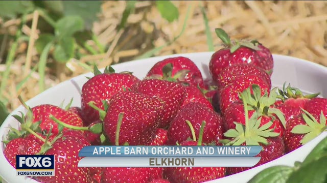Apple Barn Orchard and Winery has plenty to offer guests