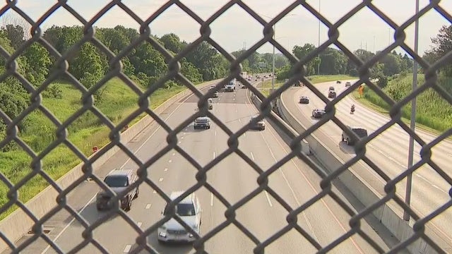 Bear killed in Hale Interchange, tow driver recalls scene