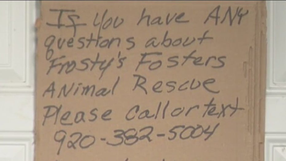 Frosty's fosters animal store rescue