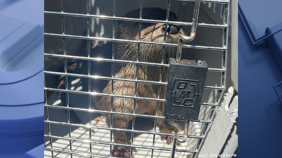 Baraboo zoo animals missing police say habitat locks cut overnight