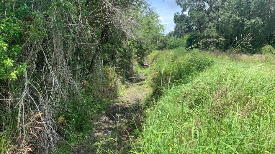 palmetto-ditch.jpg