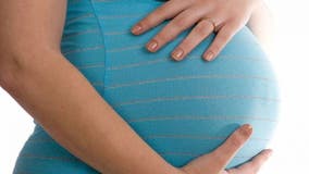 Pregnant North Texas woman cited for driving alone in HOV lane, says unborn child was passenger