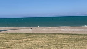 Boy pulled from Lake Michigan dies