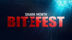 Shark Month: Bitefest returns to Tubi with two shark-tastic original films