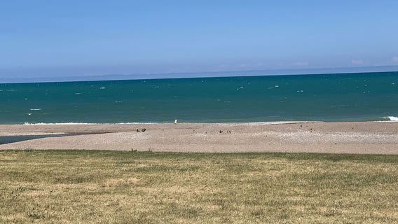 Boy pulled from Lake Michigan dies