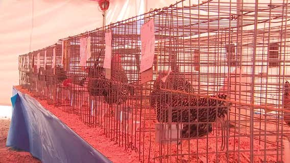 Waukesha County Fair opens; exhibitors happy bird flu rule lifted