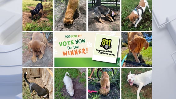 Vote underway: We Energies’ safe digging campaign