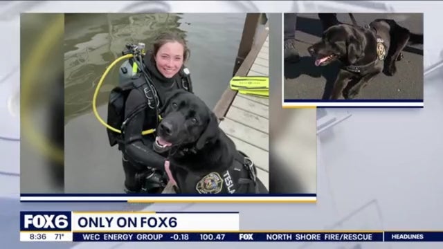 Meet Tesla: Helps Western Lakes Fire Department