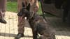 Janesville man kicked Waukesha County K-9 'devil dog:' complaint