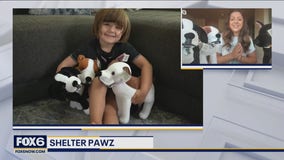 Shelter Pawz: Helping kids connect with shelter dogs