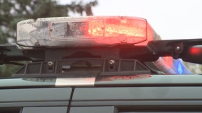 Indiana police K-9 choked, Kenosha man arrested