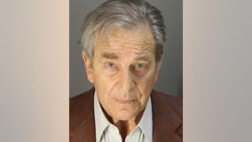 Paul Pelosi pleads not guilty to DUI charges after crashing Porsche