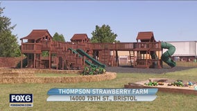 Family fun at Thompson Strawberry Farm