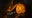 Racine Zoo Jack-O’-Lantern Nights event set for Sept., Oct.