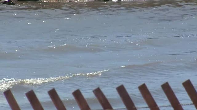 South Shore Beach among ‘most contaminated in nation,' group says