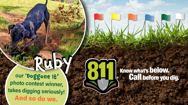 Meet Ruby, We Energies’ new ‘ambassadog’