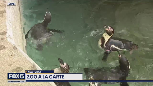 A la Carte at the Zoo is back after 2 years