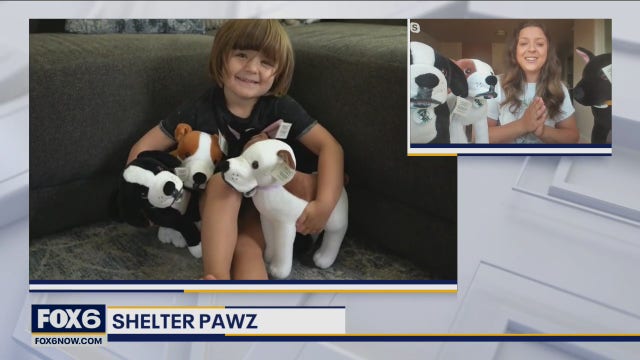 Shelter Pawz: Helping kids connect with shelter dogs