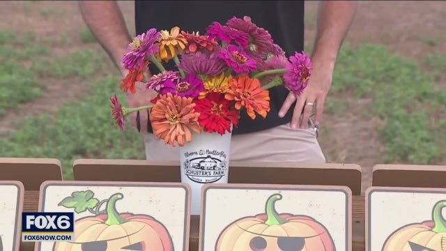 Deerfield Day Trip: Schuster's Farm