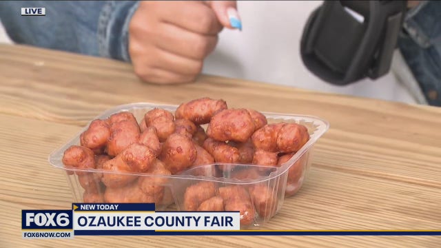 Ozaukee County Fair food and fun