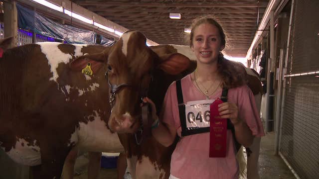 Wisconsin State Fair: Teen, cow compete in junior livestock show