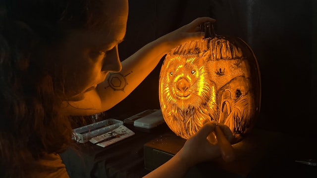 Racine Zoo Jack-O’-Lantern Nights event set for Sept., Oct.