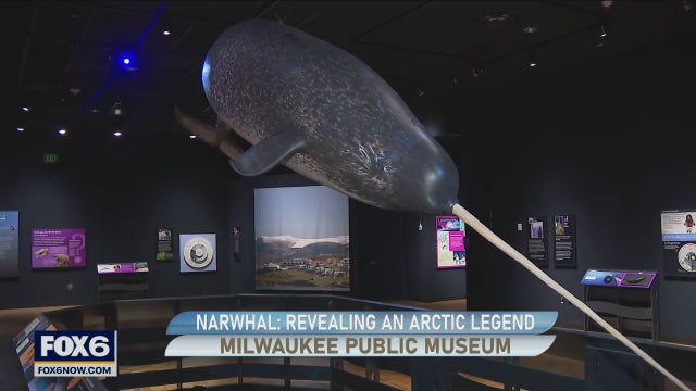 Exploring the Milwaukee Public Museum