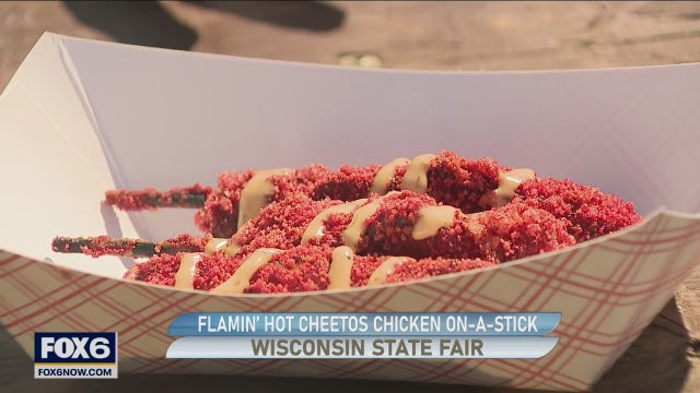 Wisconsin State Fair excitement