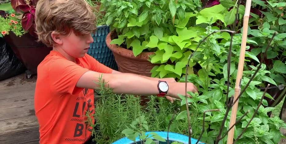 Grow and dry your own herbs