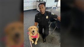 New Milwaukee police service dog welcomed