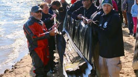 Lake Mendota canoe 3,000 years old, recovered by maritime archaeologists
