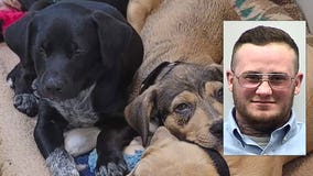 Hubertus man faces animal mistreatment charges, nearly 50 dogs seized