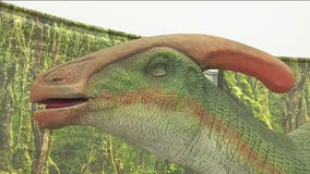 Jurassic Quest; dinosaur experience back in Milwaukee