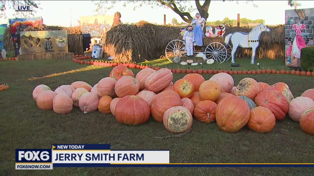 Jerry Smith Farm in Kenosha; fun activities for your family