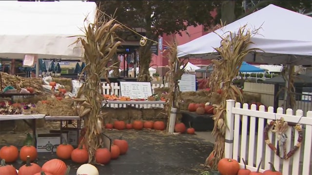 Harvest Fair 2022: West Allis, thousands celebrate everything fall