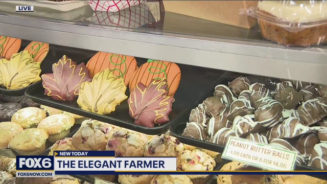 Autumn Harvest Fest open Saturdays & Sundays