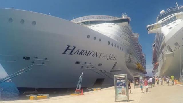 Police: Pennsylvania woman killed by bull shark while snorkeling in the Bahamas