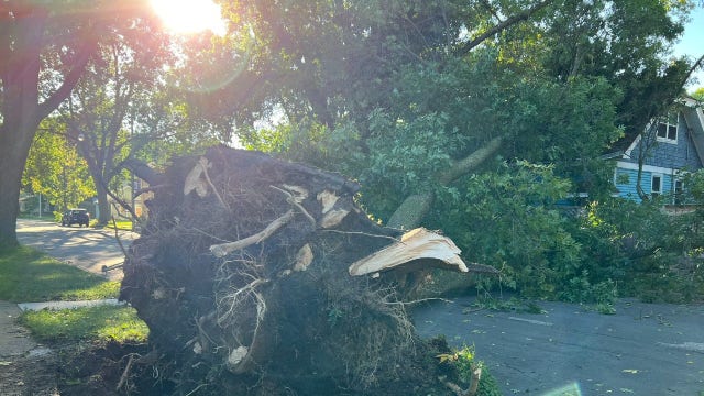 Storm damage in SE Wisconsin; trees, electrical wires down