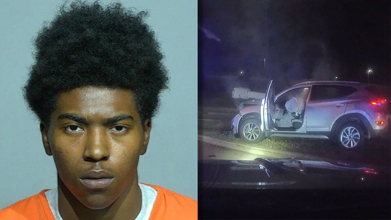 Whitefish Bay police chases; Milwaukee man gets probation - Vimarsana News