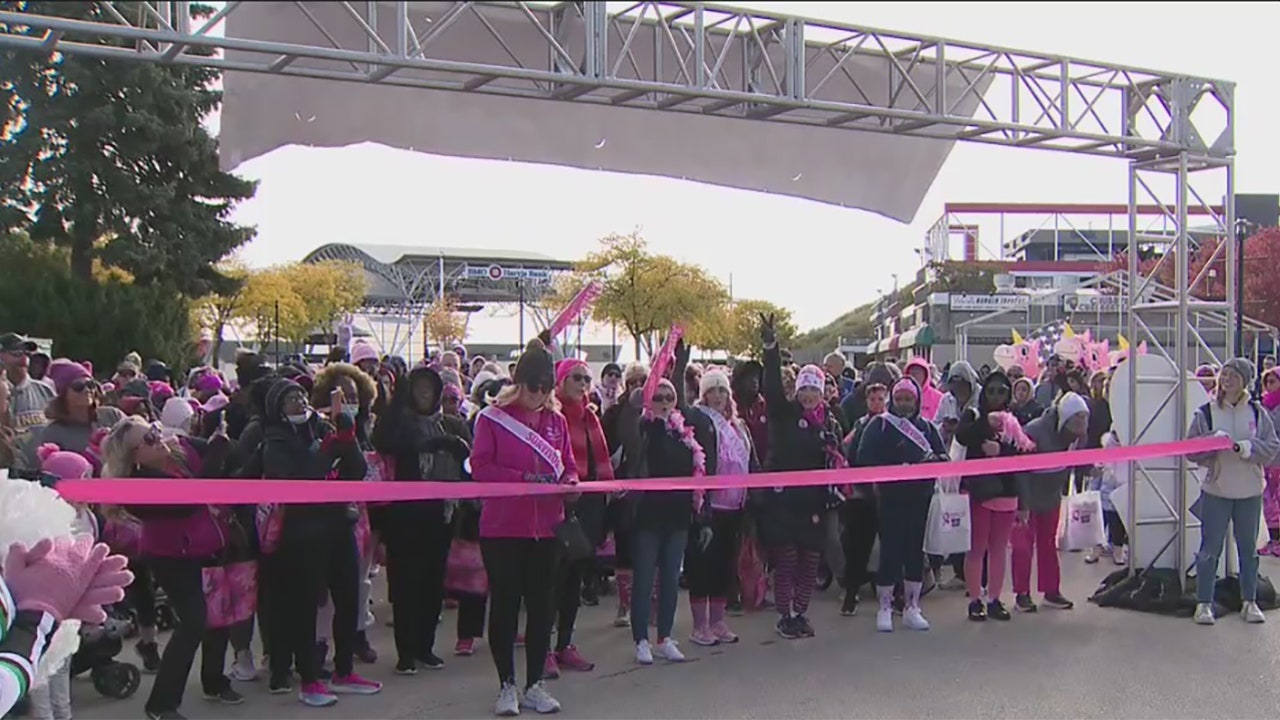 Making strides Peers in pink ready to roll to fight breast cancer