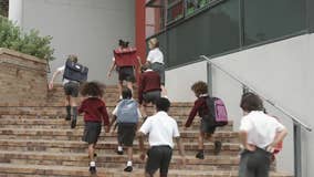 PFAS found in school uniforms